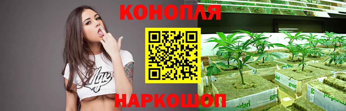 Бошки Шишки OG Kush Ноябрьск